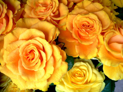 536059 (a): :1600x1200
